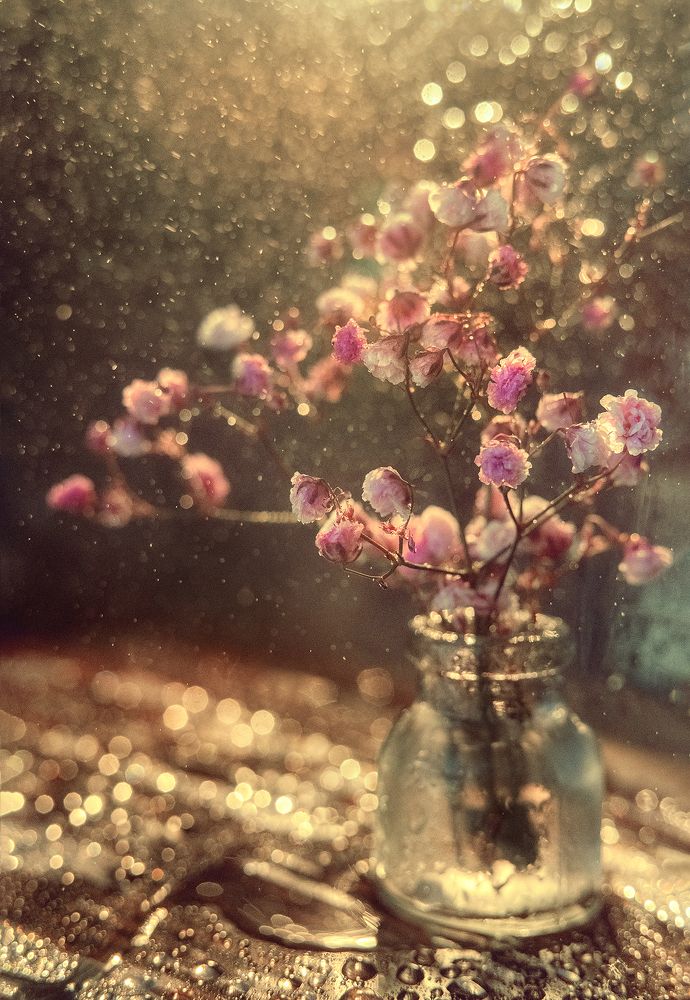 Photograph by Нина Жихарева