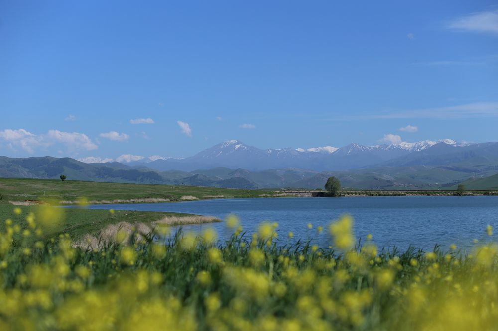 Photograph by Khalig