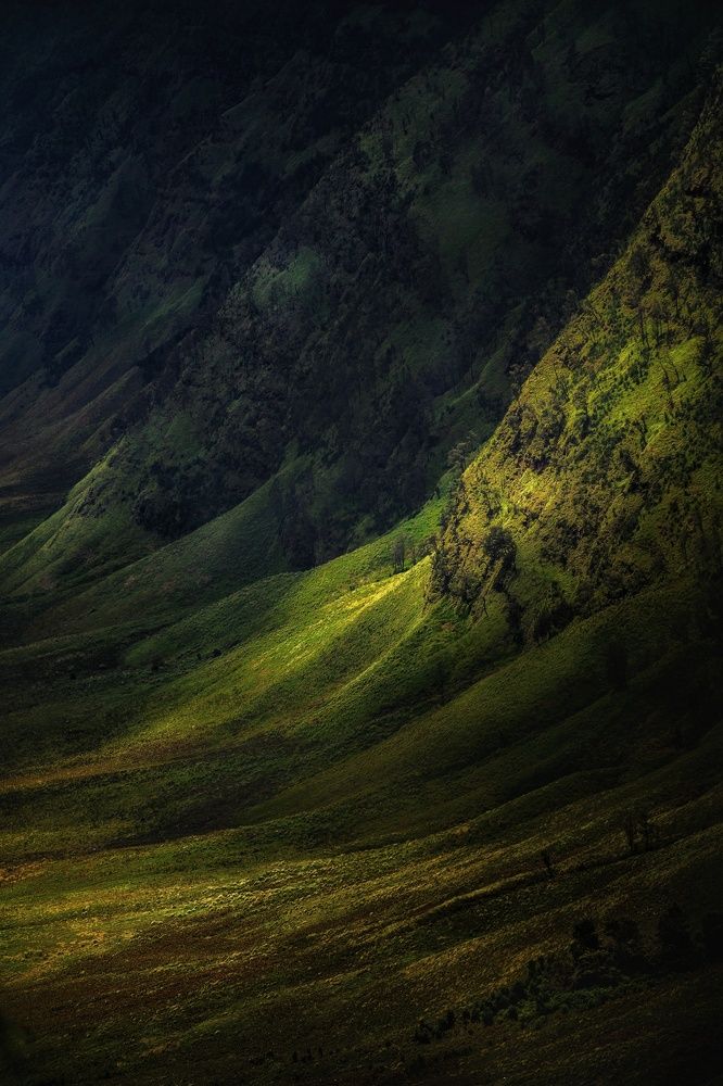 Photograph by M Sairoji Abdillah