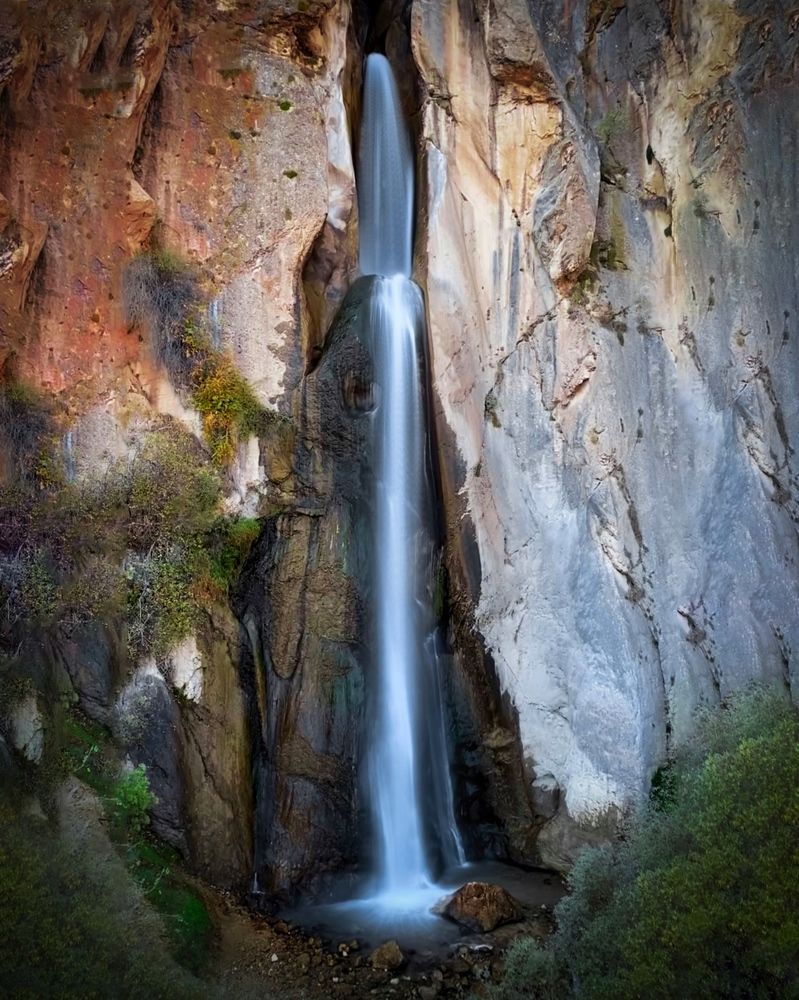 Photograph by Saeed Sadeghi