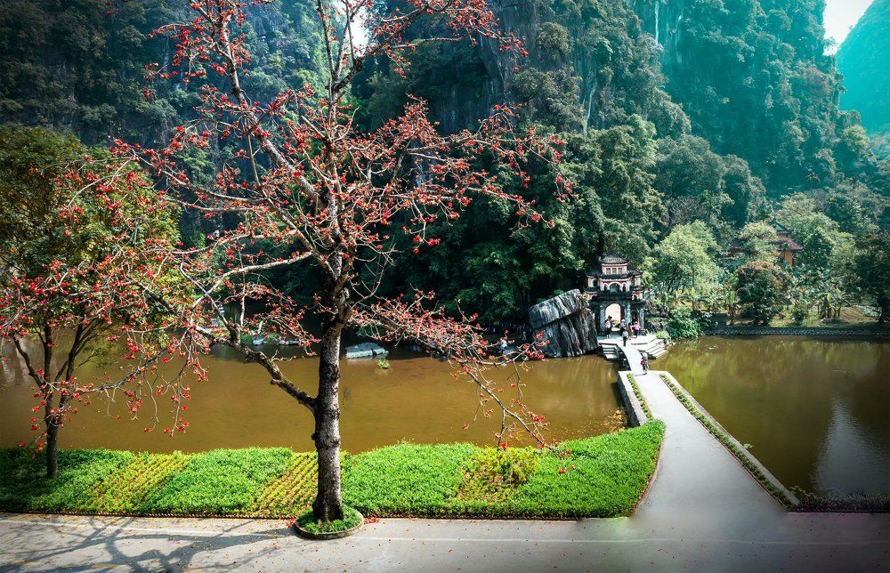 Photograph by Ngọc Nguyễn