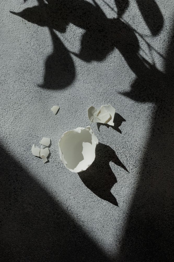 Photograph by Alena Gudz