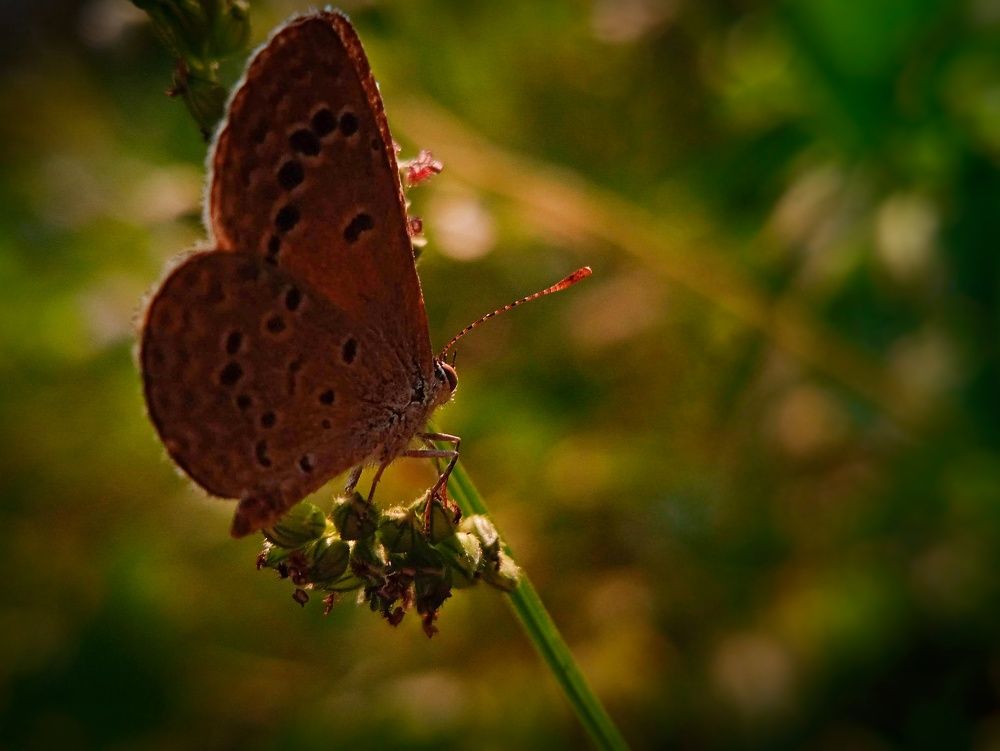 Photograph by Jay Shah