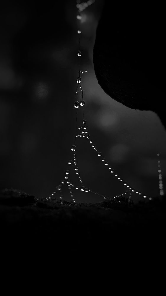 Photograph by Jay Shah