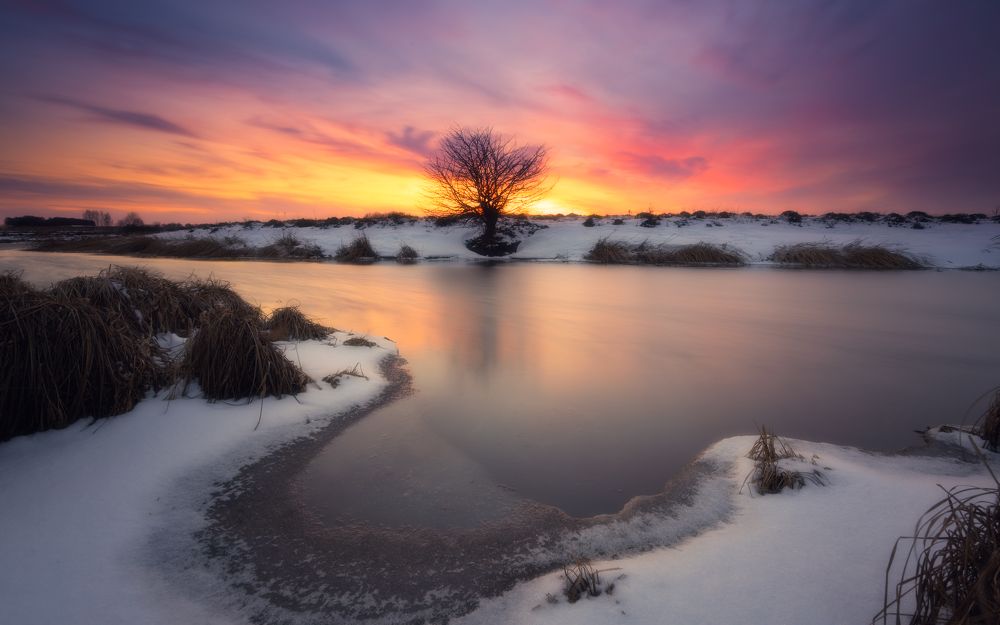 Photograph by Николай Брытков