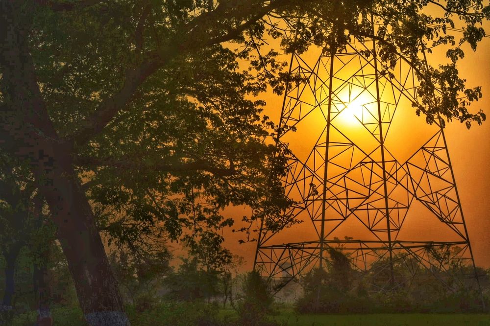 Фотография автора ABHISHEK SHAH