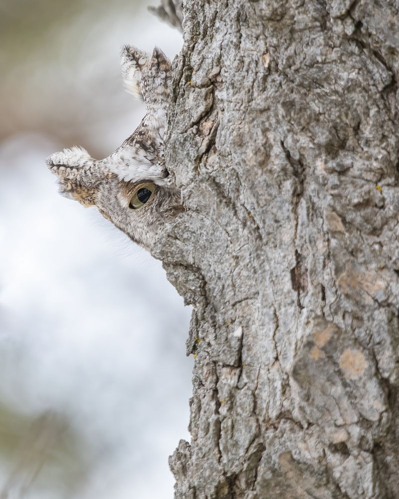 Photograph by James David Raj