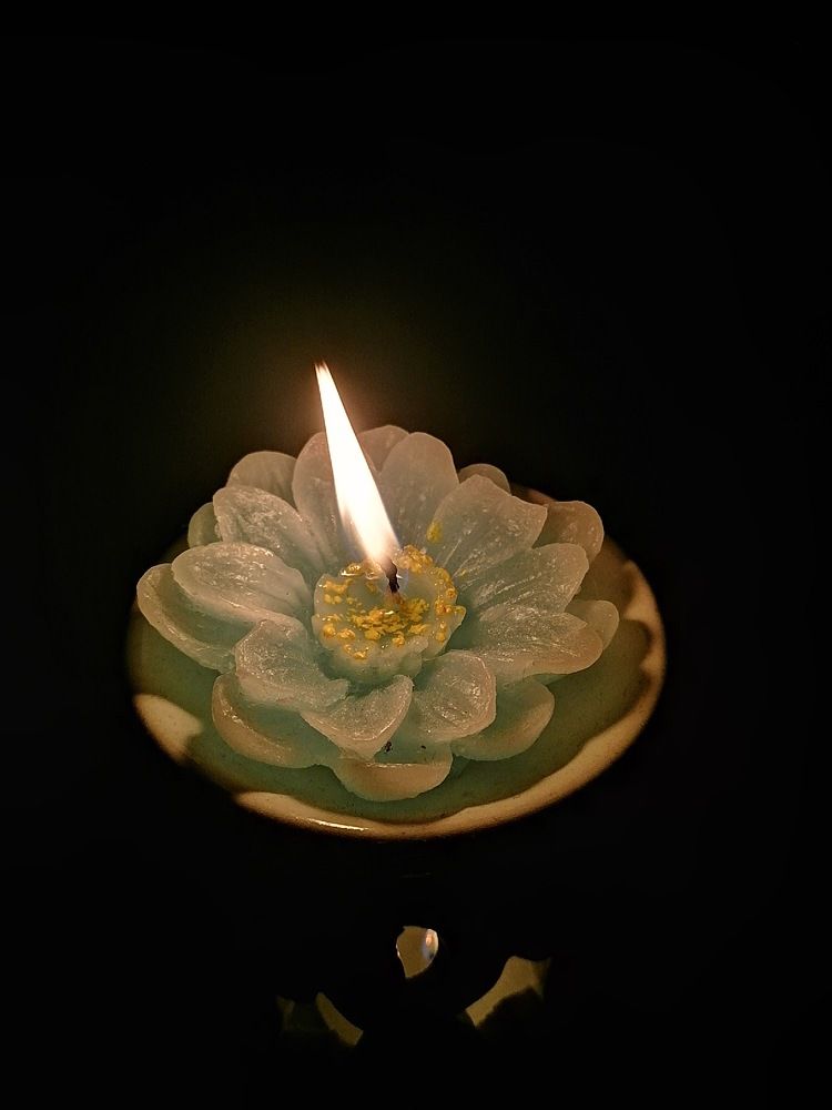 Photograph by Наталья Дябина