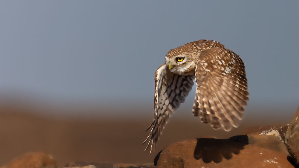 Photograph by Maitham Al Lawati