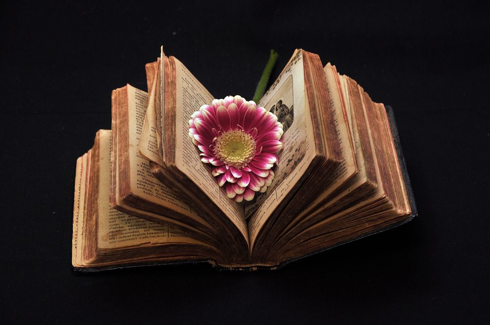 Photograph by Ildikó Mitsová