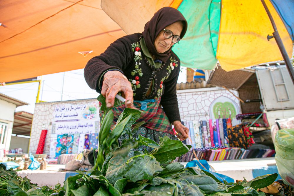 Photograph by Mohammadreza Majlesifar