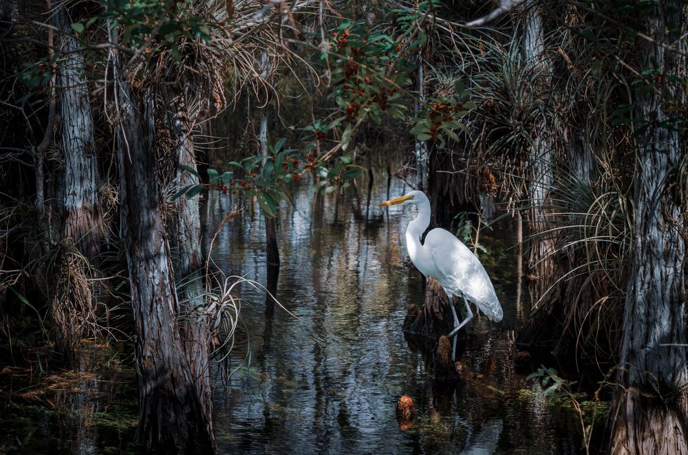 Photograph by Слащилина Нина