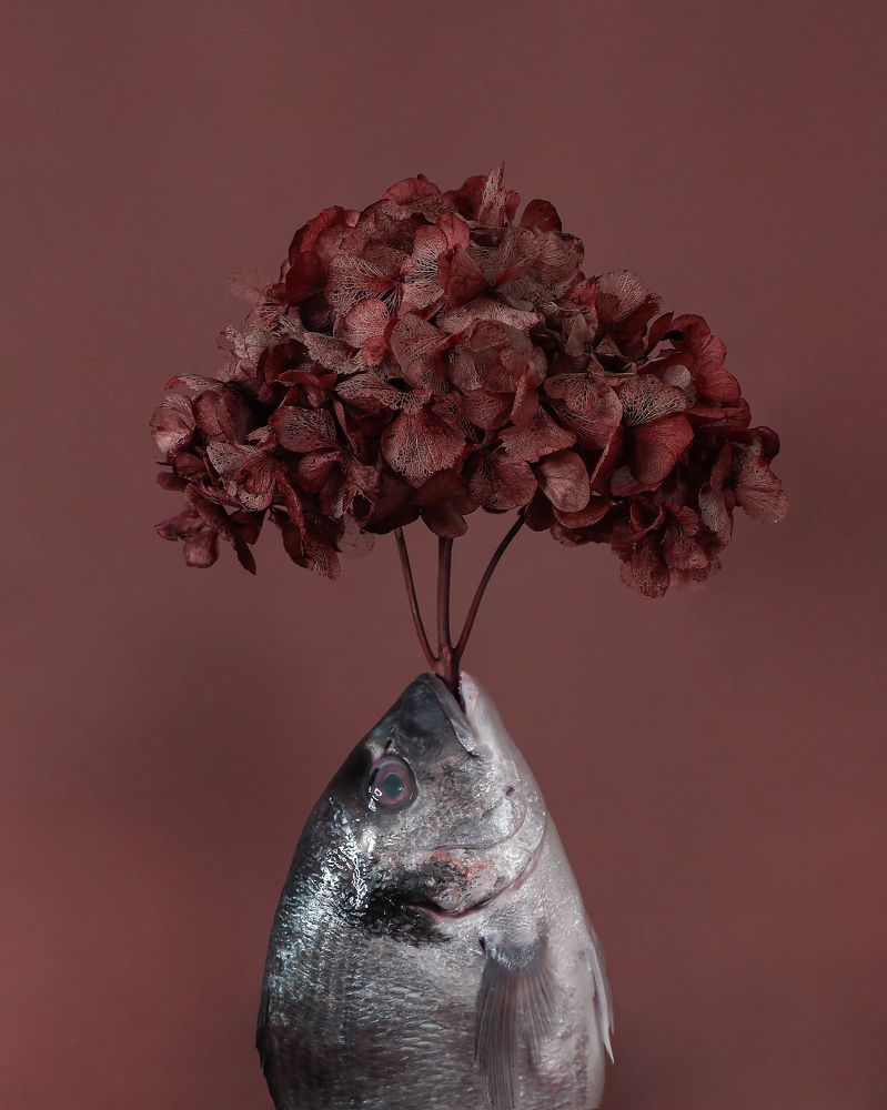 Photograph by Elena Bax