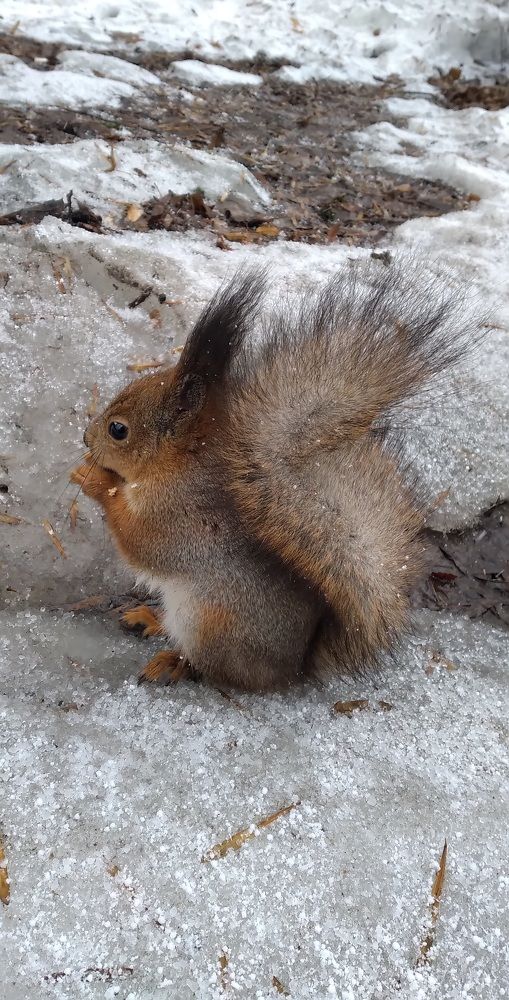 Photograph by Любовь Макарова