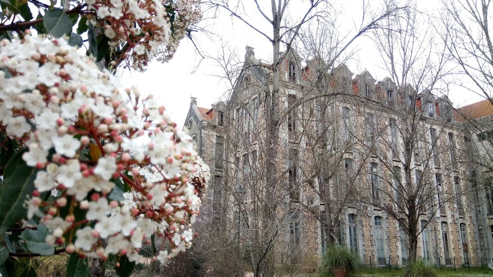 Photograph by J.C. Narciso