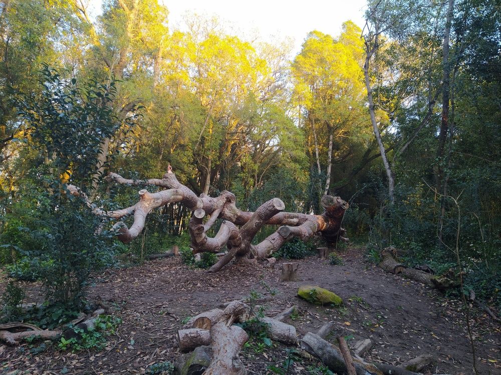 Photograph by J.C. Narciso