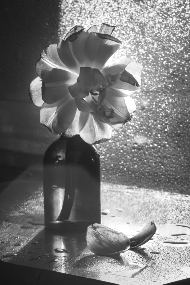 Photograph by Алеся Писнова