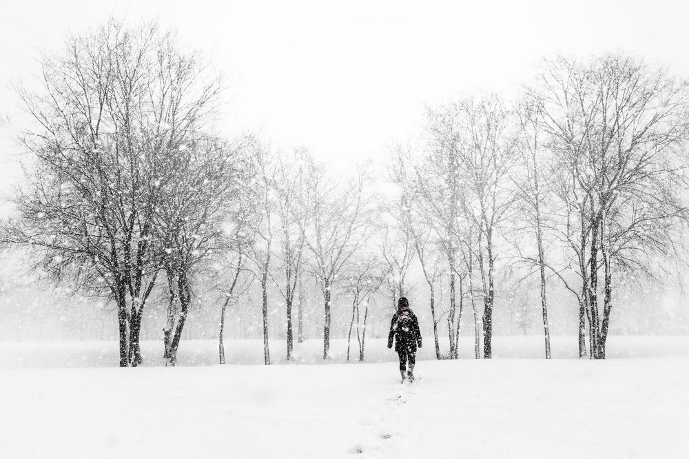 Photograph by Mehmet Neset Turgut