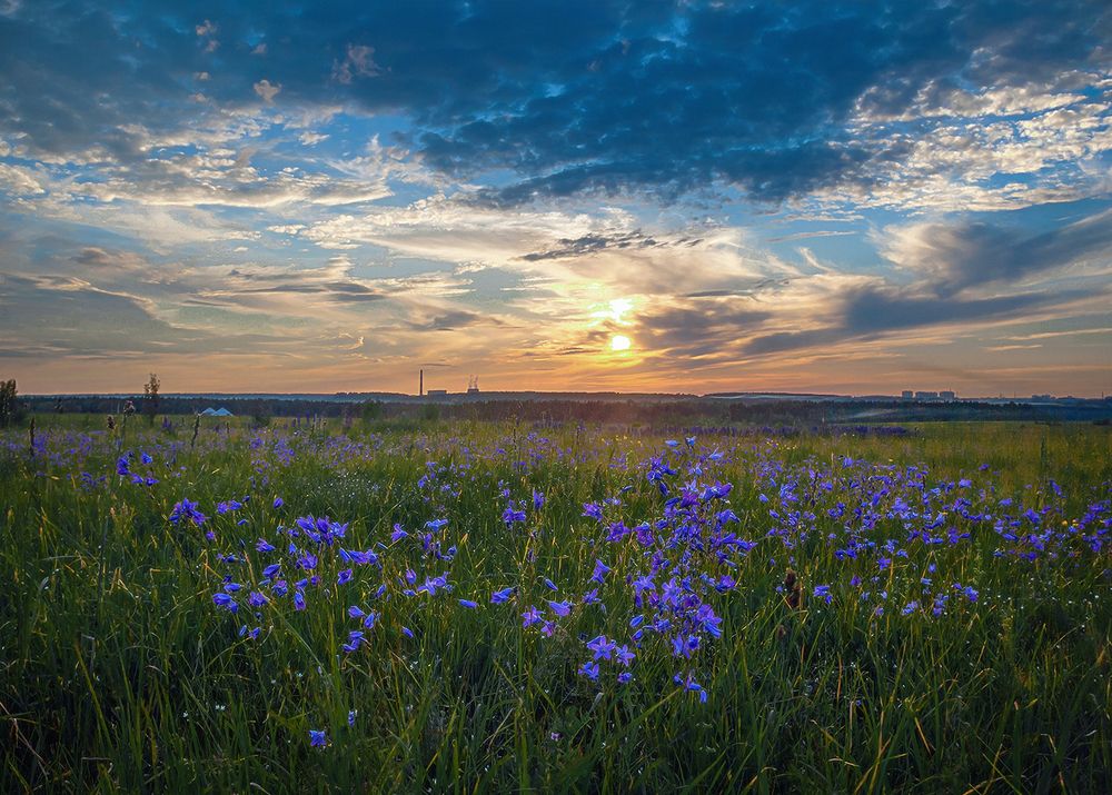 Photograph by Надежда Колеватова