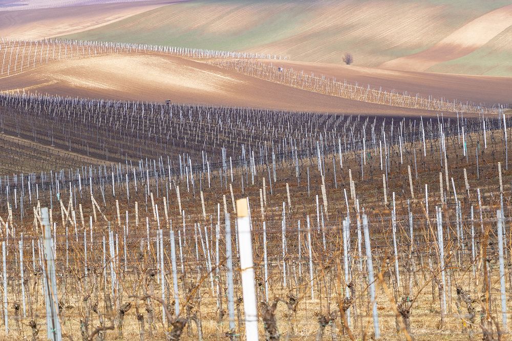 Photograph by Jasmin Suljanovic