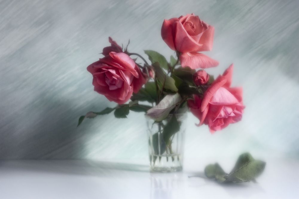 Photograph by Владимир Тузлай