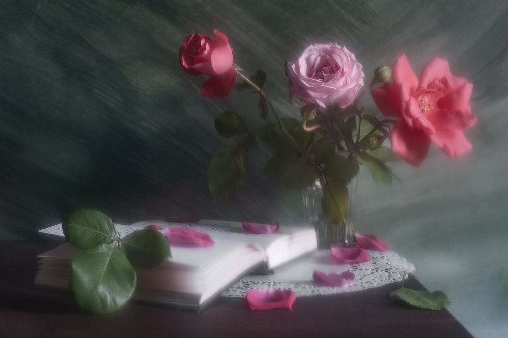 Photograph by Владимир Тузлай