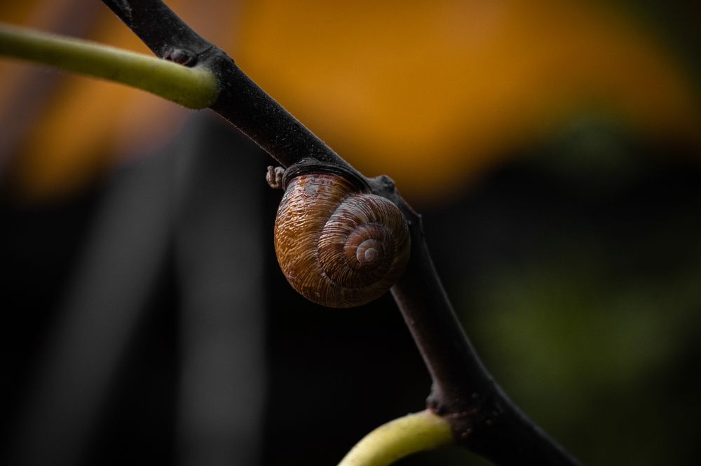 Photograph by Behnam Bahredar