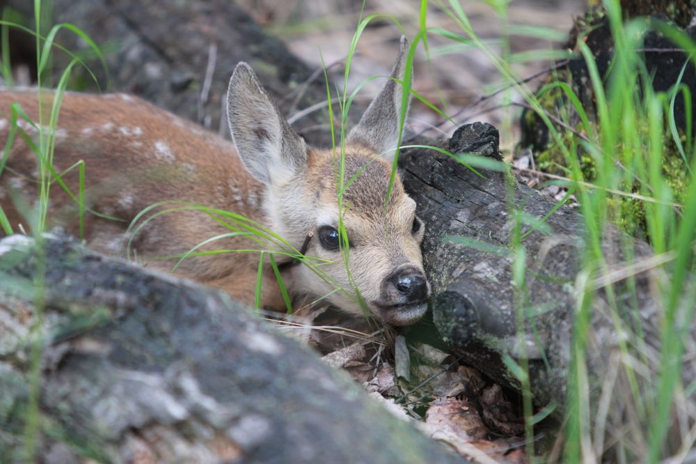 Photograph by Игорь Травкин