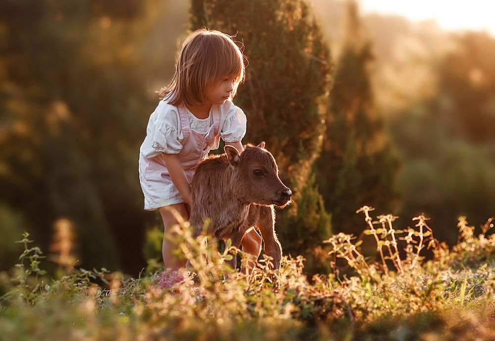 Photograph by Короткевич Валерия