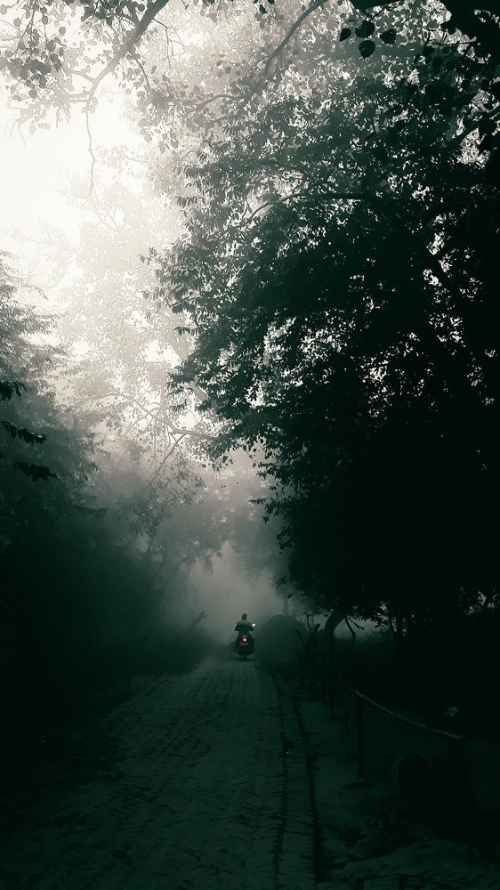 Фотография автора Kushal yadav