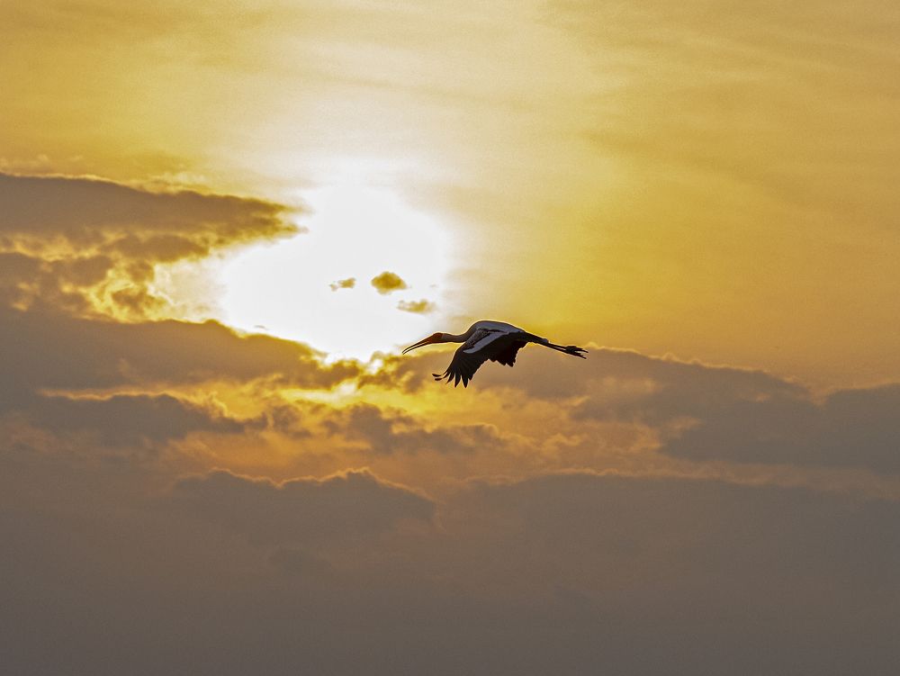 Photograph by Pon Malar