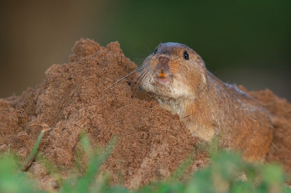 Photograph by Gonzalez Paul Andres