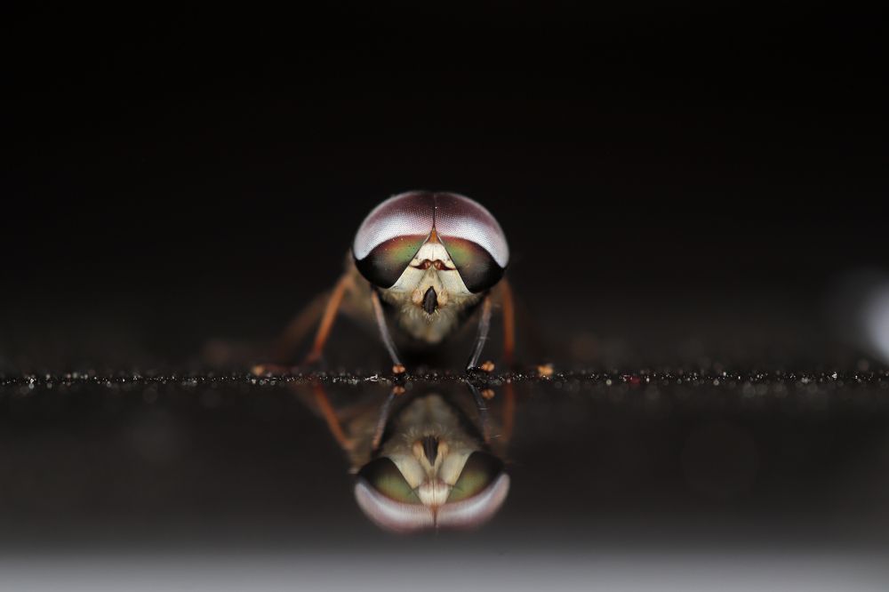 Photograph by Rohit Rajak