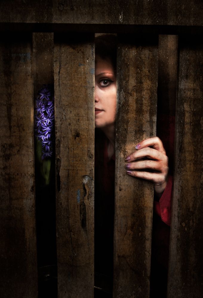 Photograph by Mitra Amini