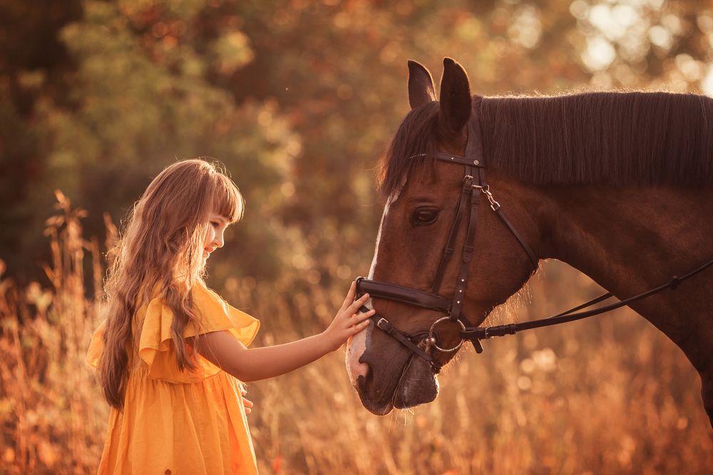 Photograph by Елена Шуваева