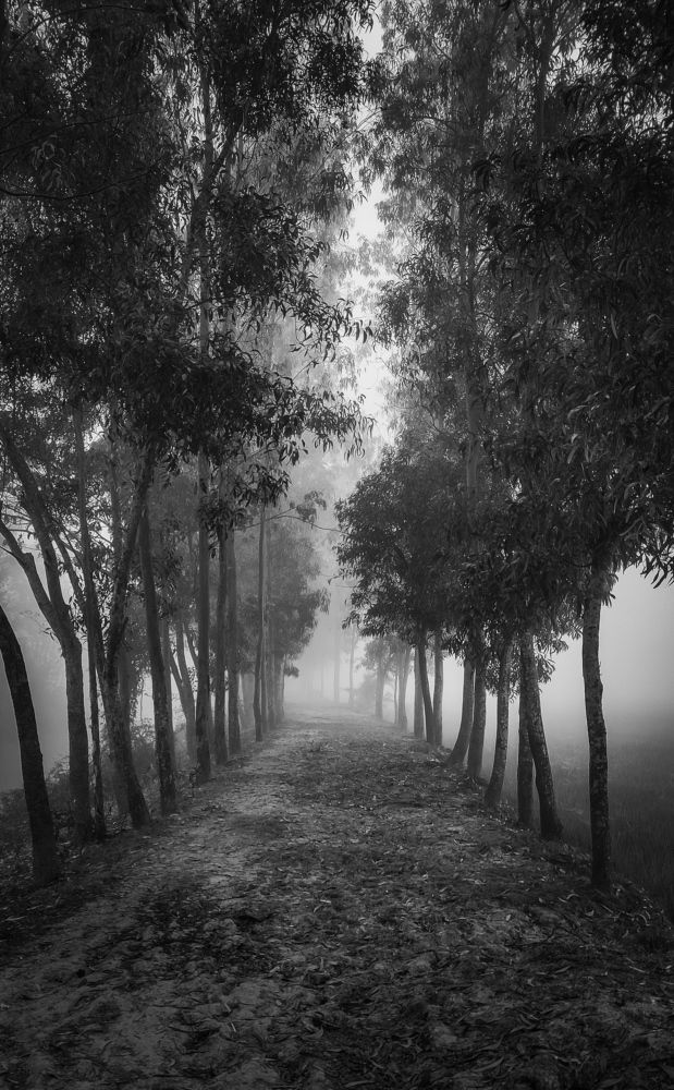 Photograph by Arindam Sahoo