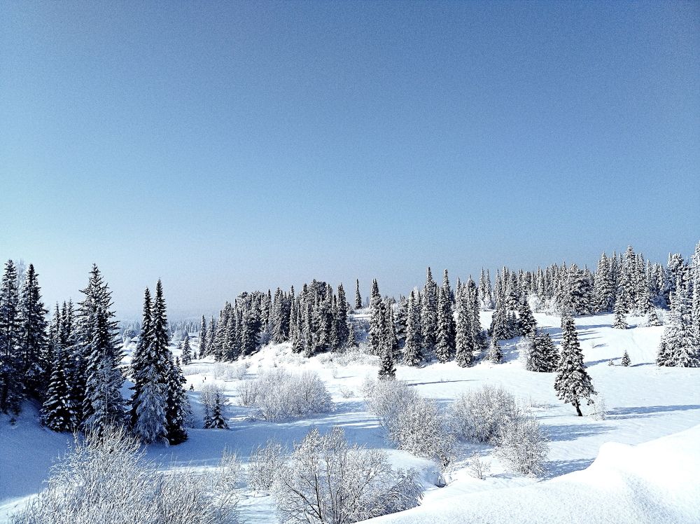 Photograph by Анатолий Майдуров