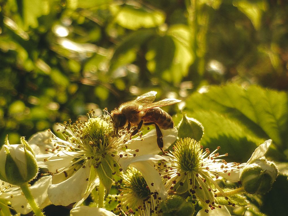 Photograph by Анна Федотова