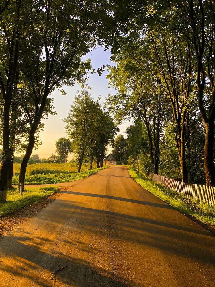 Домик в деревне