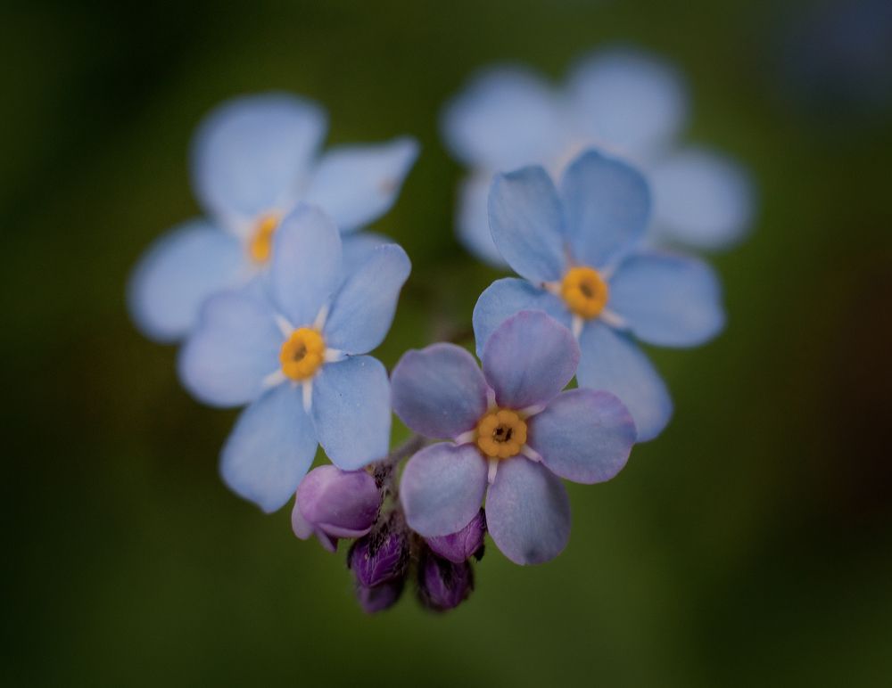 Photograph by Дарья Кончакова