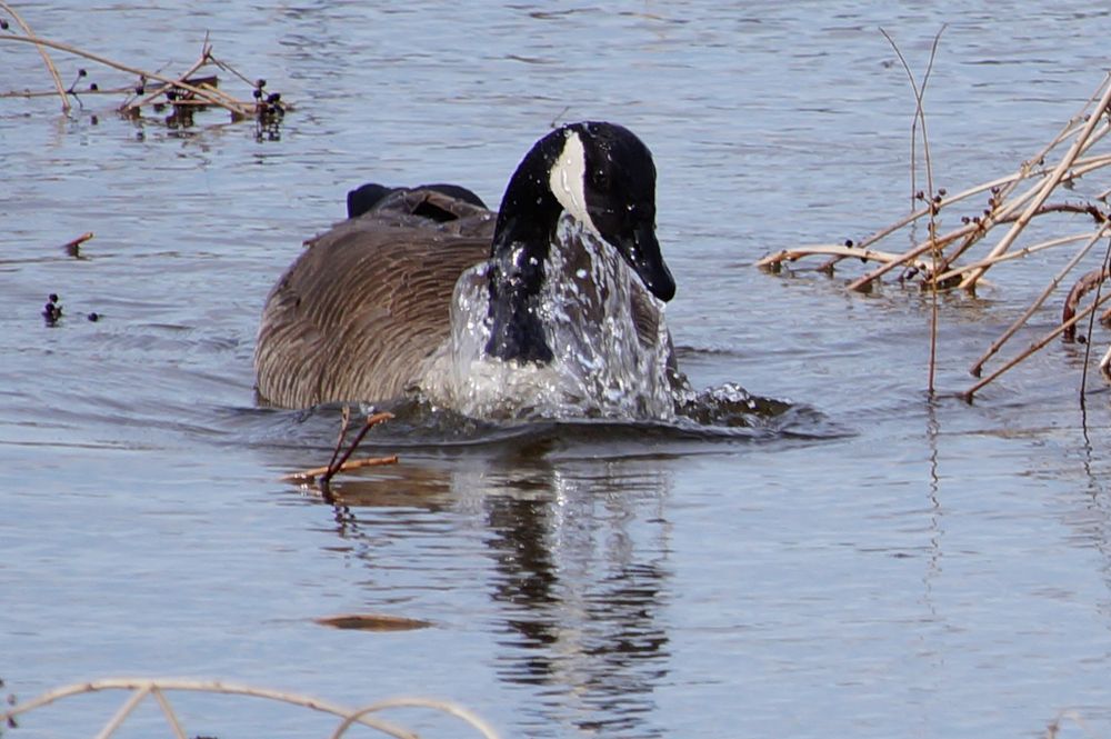 Photograph by Ken Oliver