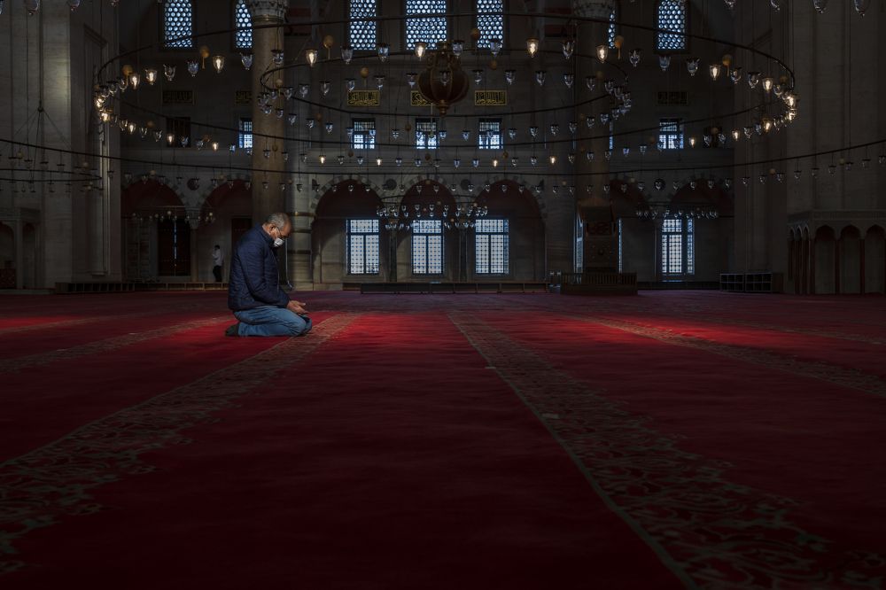 Photograph by majid hashemi