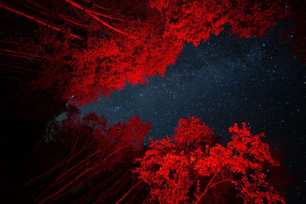 Photograph by Denis Shevchenko
