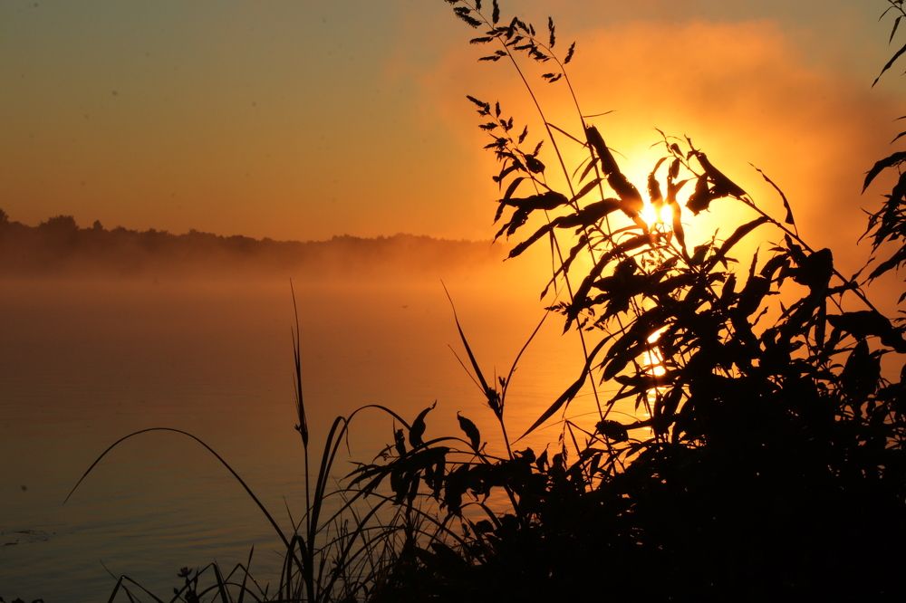 Photograph by Николай Круглов