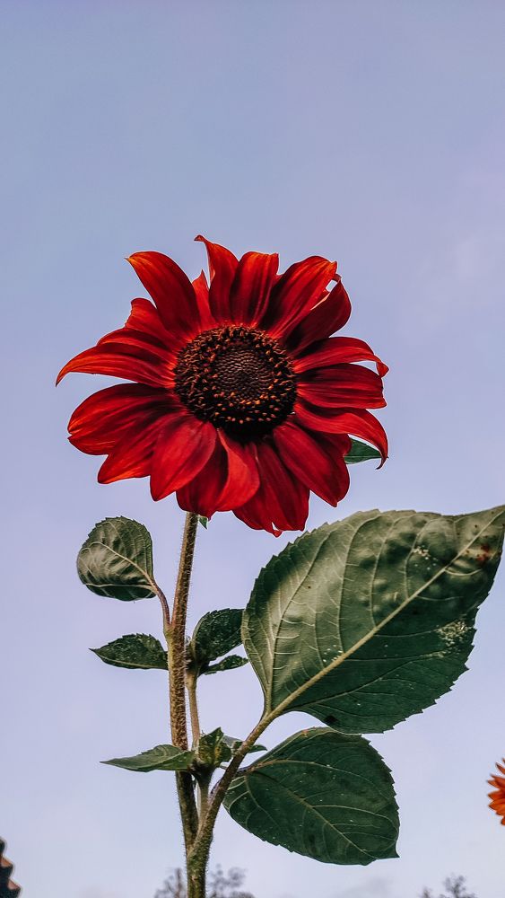 Photograph by Катерина Магало