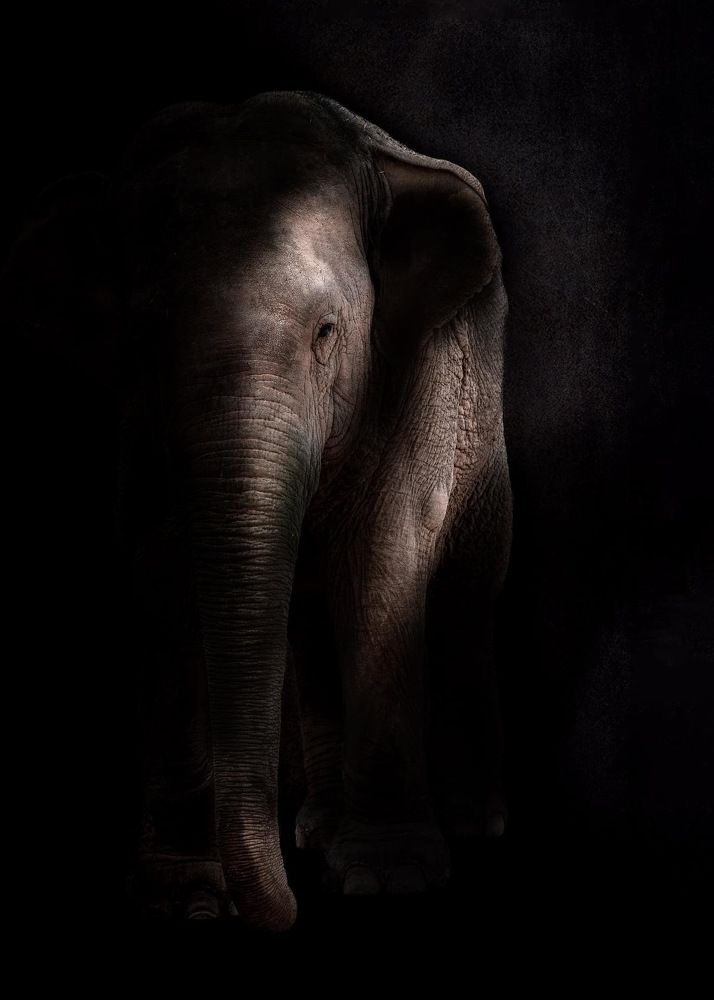 Photograph by Janet Williams