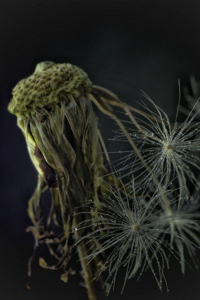 Photograph by Елена Княжева