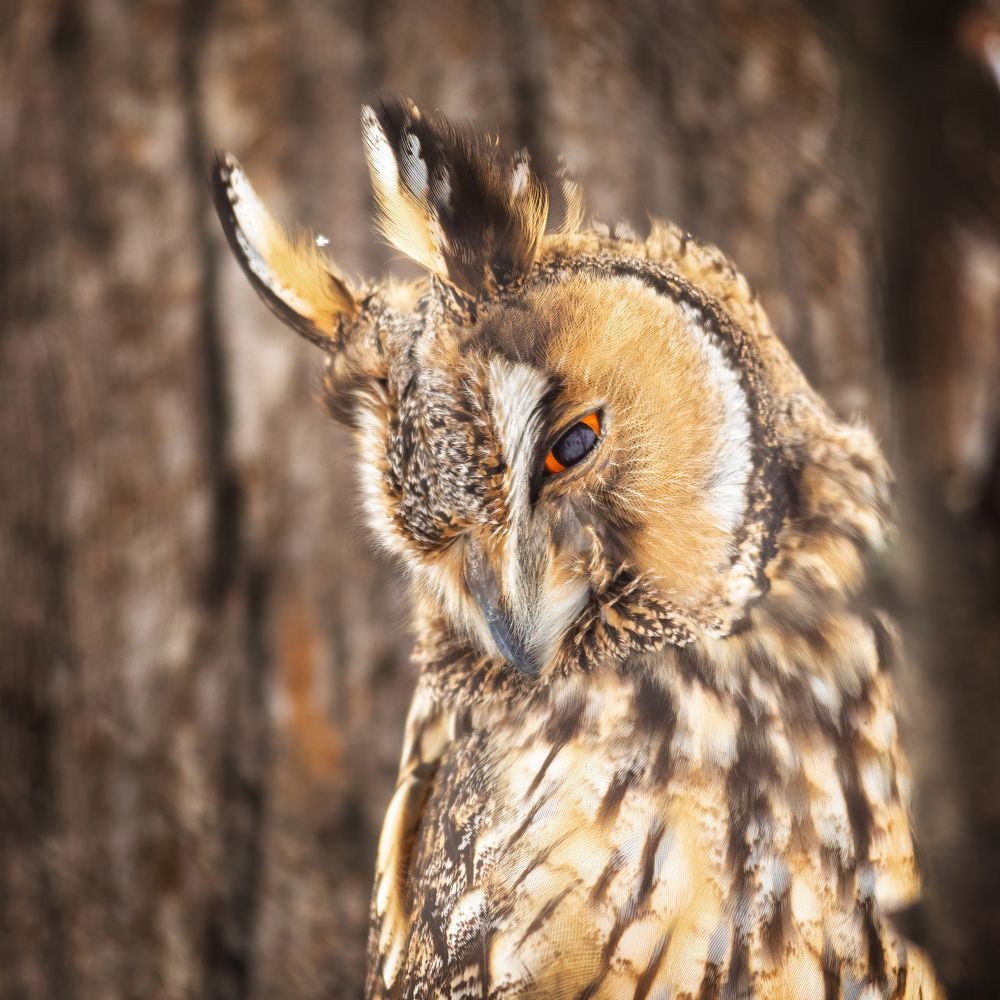 Photograph by Власов Егор