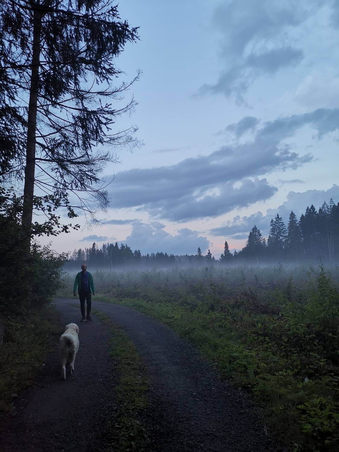 Photo #7463206
