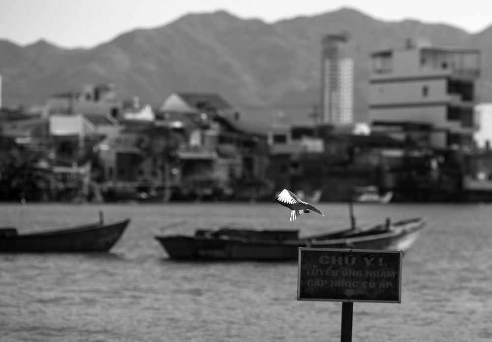 Photograph by pham vu thanh binh